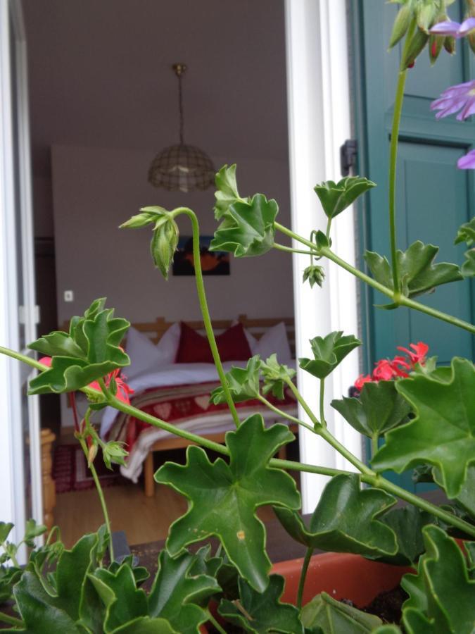 Hotel Garni Suisse Сан Мартино ди Кастроза Екстериор снимка